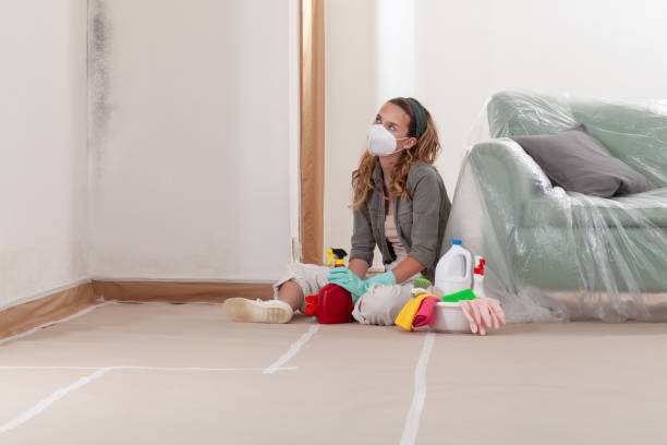 Reliable Mold Remediation contractor in Collingswood, NJ by Cheap Mold Removal